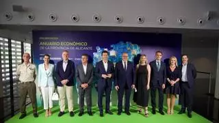 Alfredo Millá (Ineca): "Alicante avanza, pero no converge" en los últimos 25 años