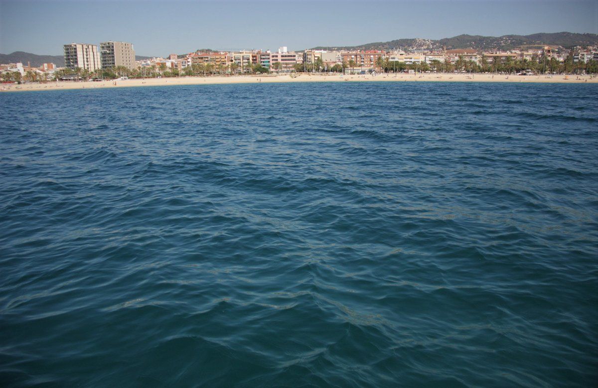 La costa de Mataró, justo encima del área protegida donde está la posidonia.