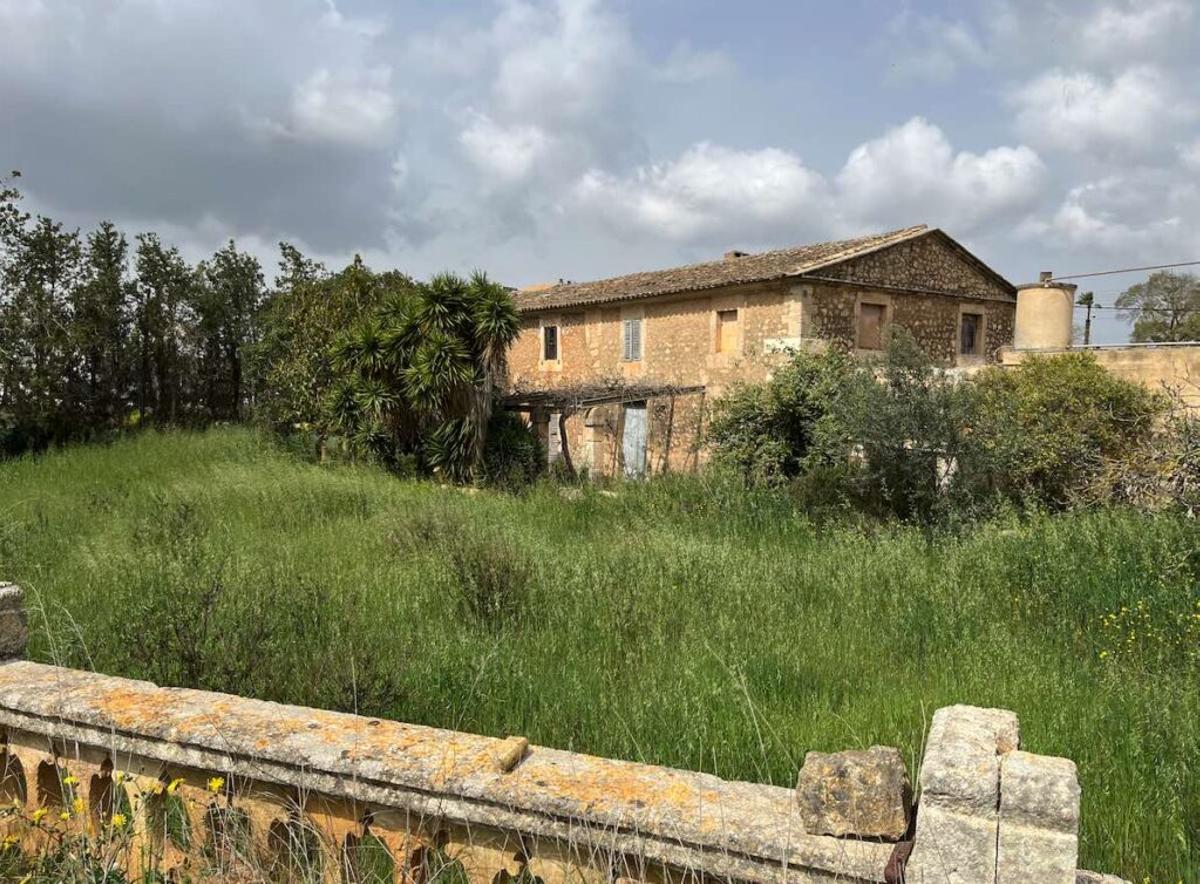 Una imagen de la finca de s'Hort des Correu de Manacor.