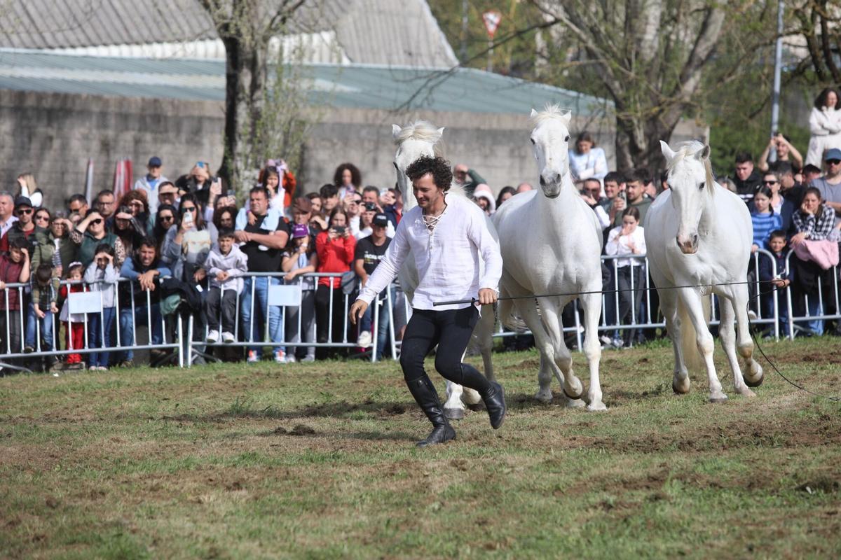 La XXXV Feira do Cabalo de Lalín cerró ayer su segunda y última jornada con una notable afluencia de público