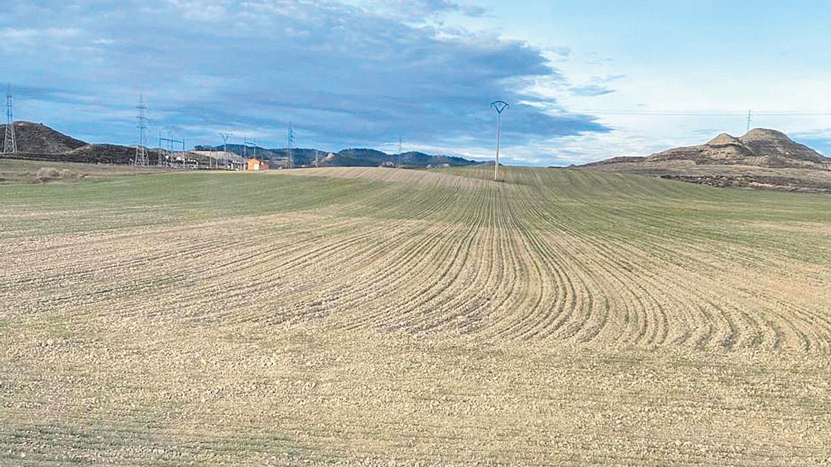 Imagen de archivo de un campo aragonés.