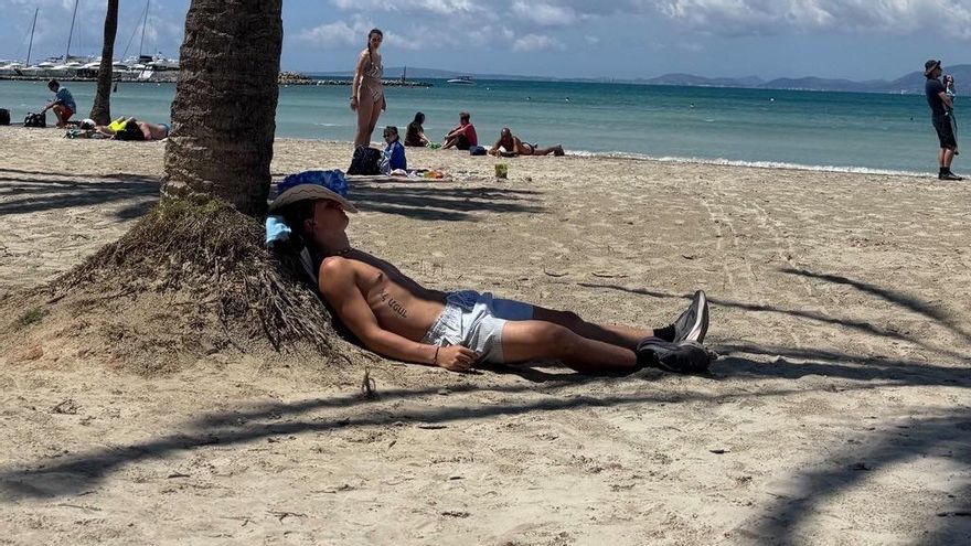 Am Strand macht Freddy tagsüber auch ganz gern mal ein Nickerchen.