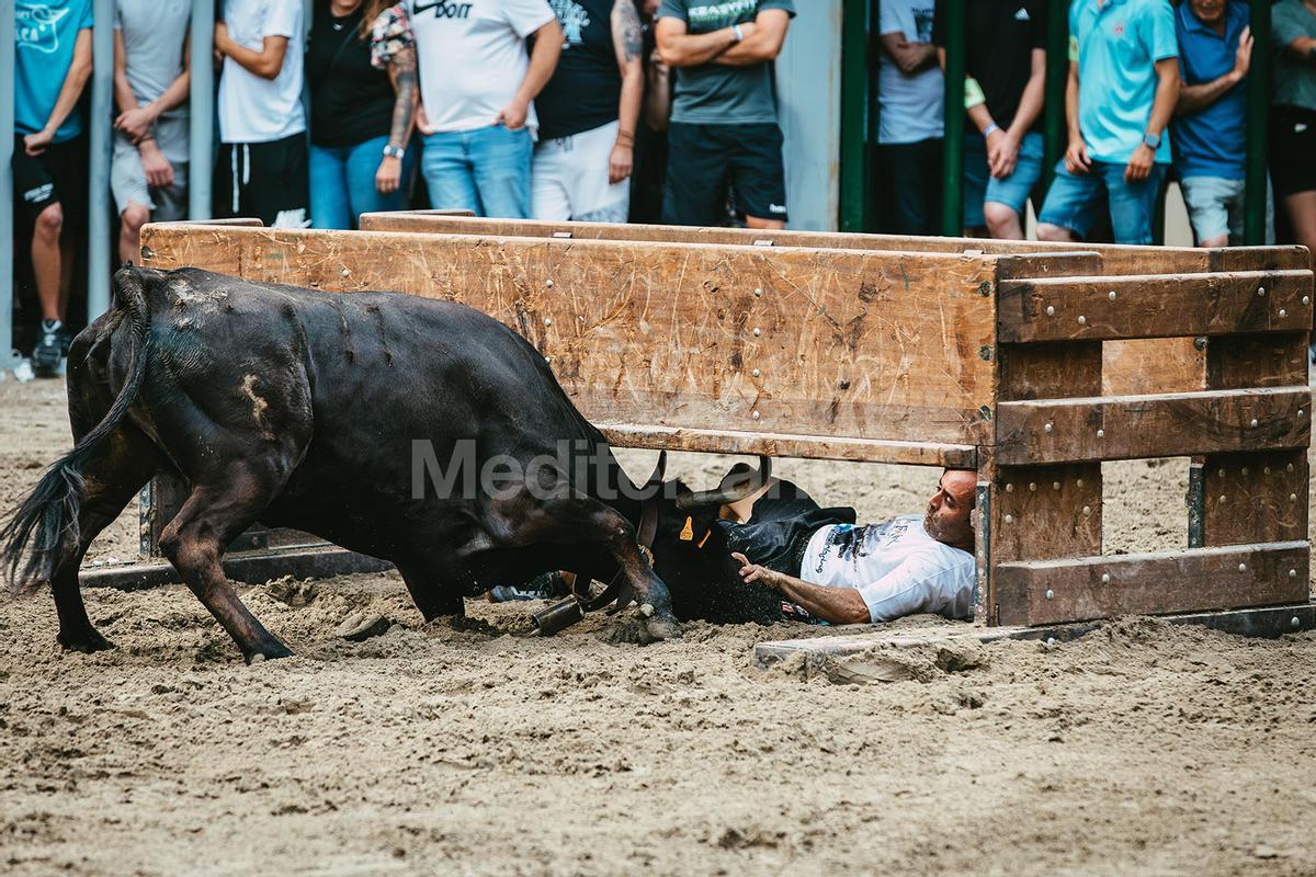 Bous a Vilafamés 2025 Bous a Vilafamés 2025