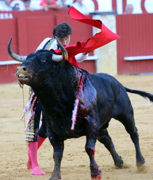 Morante de la Puebla, El Juli y Roca Rey, protagonistas del cartel del jueves en La Malagueta.