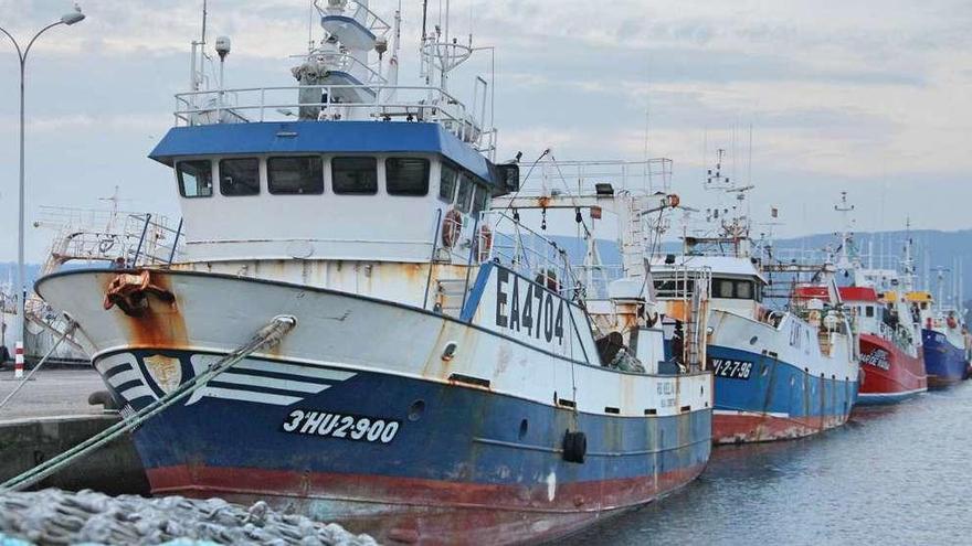 Arrastreros amarrados en el Puerto de Marín. // Santos Álvarez