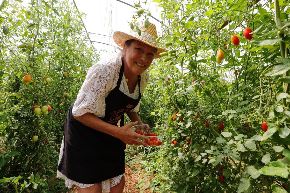 Visita guiada a la finca hortícola de Can Pol en Ibiza