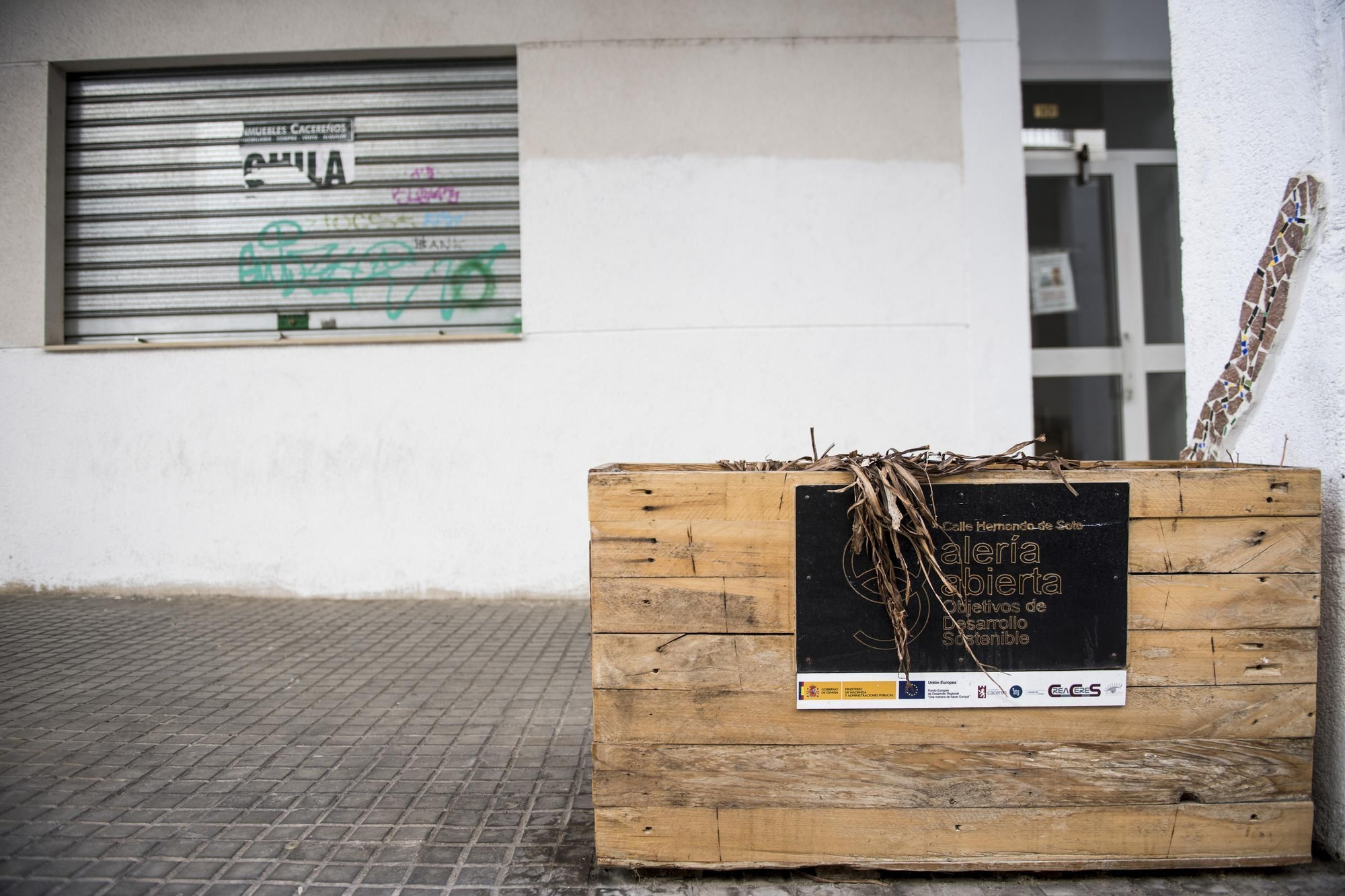 GALERÍA | Las pintadas de Hernando de Soto de Cáceres, aún sin retirarse