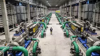 La pelea del agua: 47 comunidades de regantes se disputan veinte hectómetros de la ampliación de la desaladora de Torrevieja