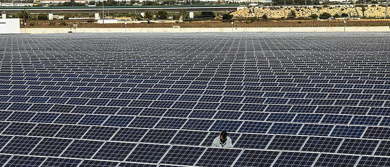 Planta fotovoltaica en la Vega Baja, en una imagen reciente. | ANTONIO AMORÓS