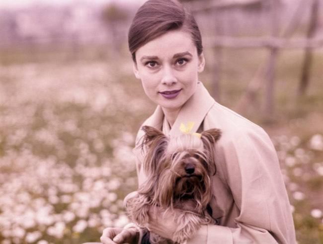 El estilo de Audrey Hepburn