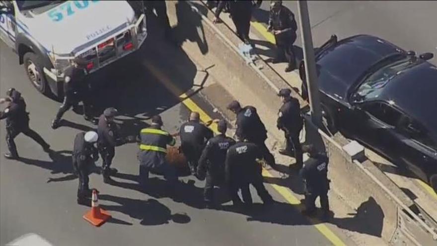 Una vaca causa el caos en una autopista de Nueva York