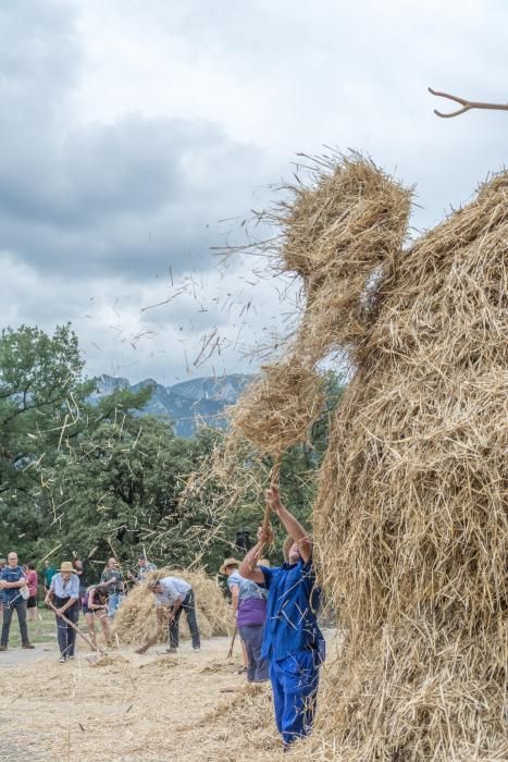 Avià manté amb força la transmissió de la tradició