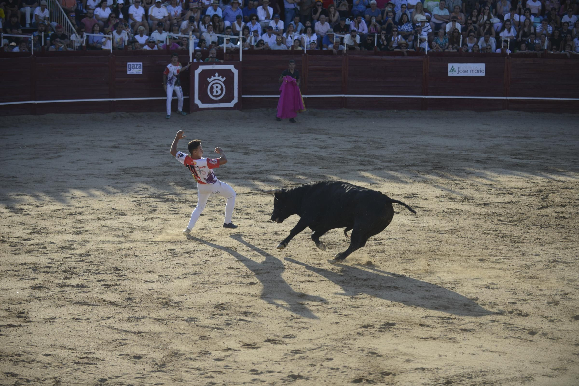 GALERÍA | Unos cuantos cortes de los arriesgados en Benavente