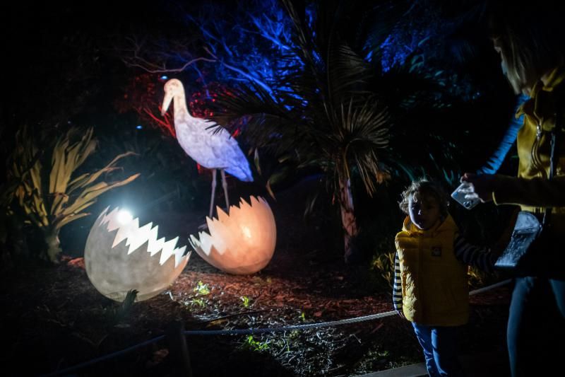 'Naturaleza Encendida'  en el Palmetum (Santa Cruz de Tenerife)