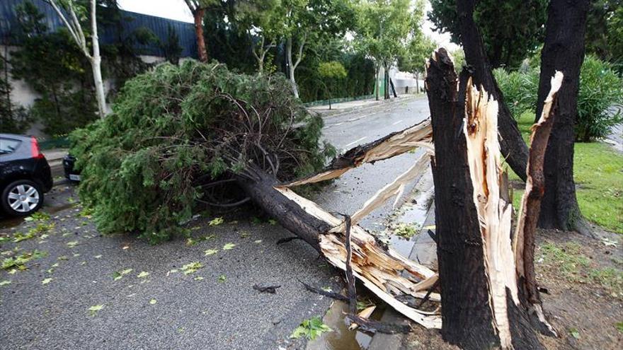 Un informe alerta de la falta de coordinación medioambiental en Aragón