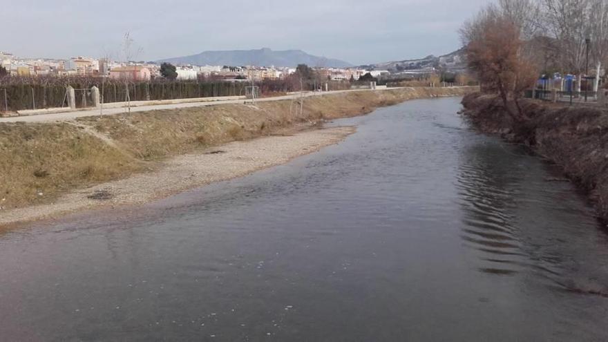 El Paseo Ribereño de Cieza está abandonado, según considera el PP.