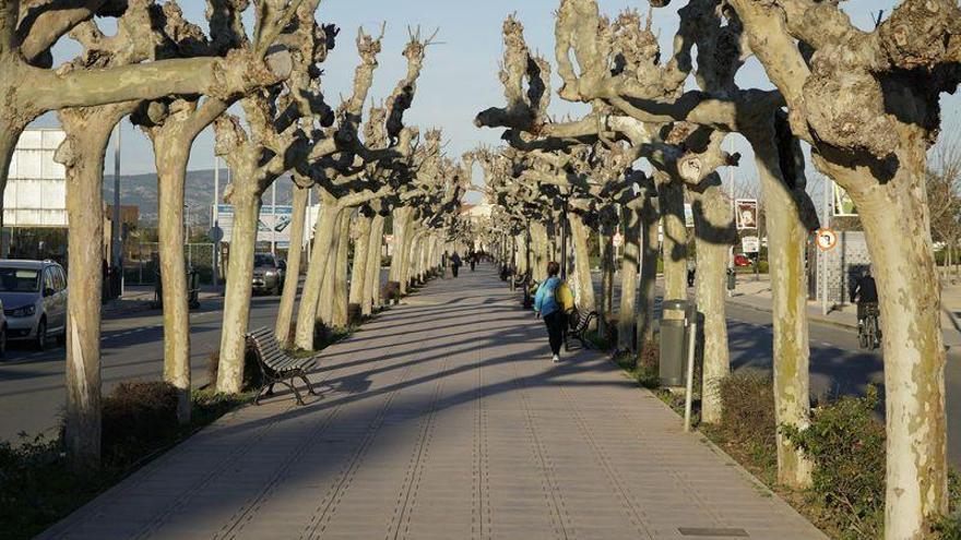 Castelló preguntará a los vecinos sobre la reforma de la avenida Lledó