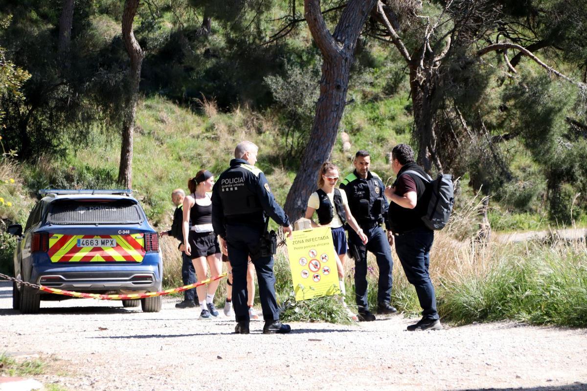 Personas que intentan entrar en la zona restringida de Collserola por la peste porcina