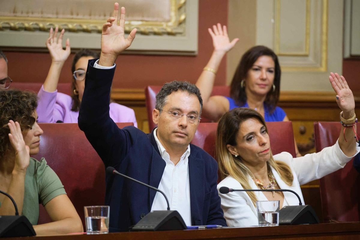 Pleno extraordinario de Santa Cruz