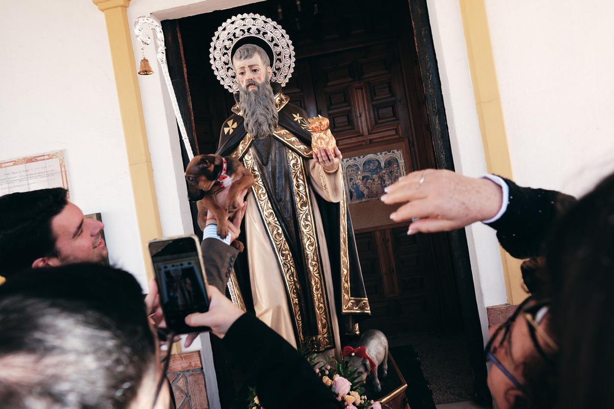 Churriana celebra la bendición de San Antón Churriana celebra la bendición de San Antón