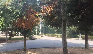 Trubia denuncia el estado de abandono de sus zonas verdes
