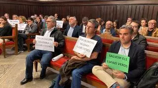 Una vintena de veïns de Montilivi protesten en el ple de Girona