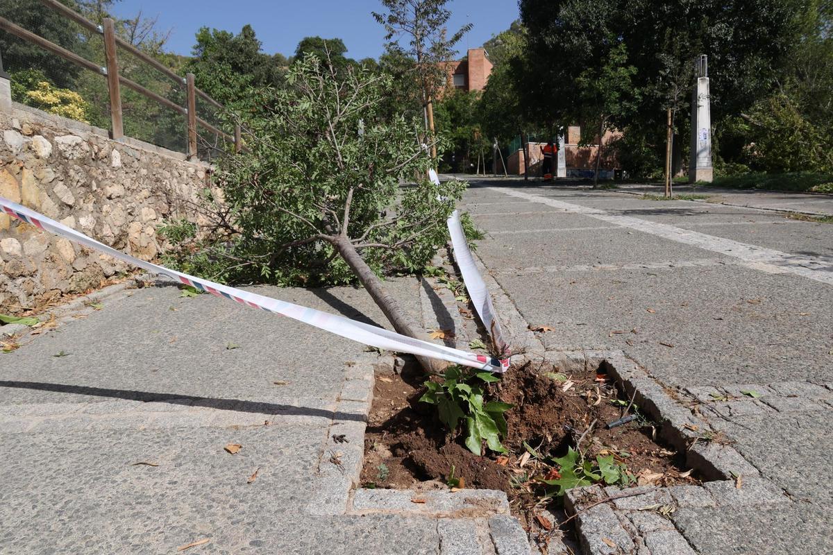Imágenes del día después en Alcoy tras el temporal