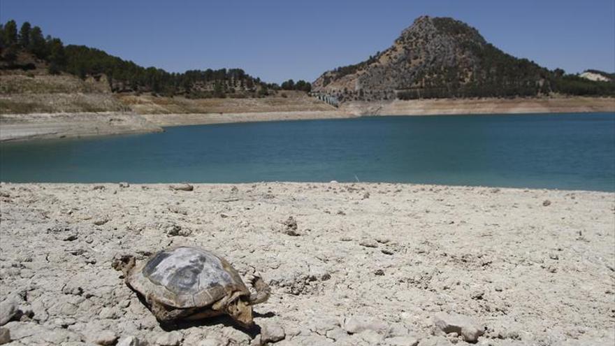 El invierno entrará con los embalses al nivel más bajo de toda la década