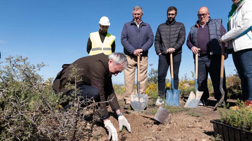 Azcón detalla las líneas maestras del Plan de Reforestación de Aragón