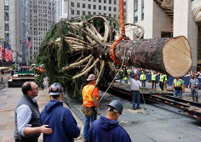 El árbol del Rockefeller Center de 2022 llega a su destino