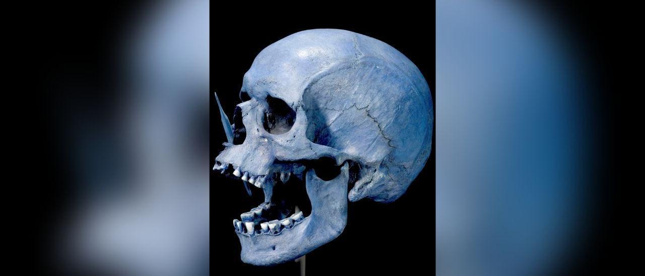Cráneo atravesado por una flecha, uno de los elementos del neolítico analizados.