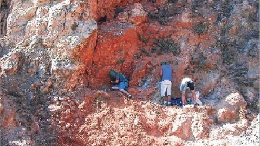 Las excavaciones de 2004 han permitido numerosos descubrimientos en Almenara.