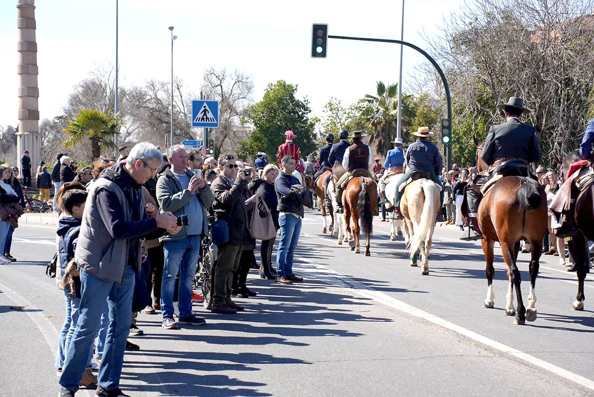 los caballos reinan en Córdoba el 28F