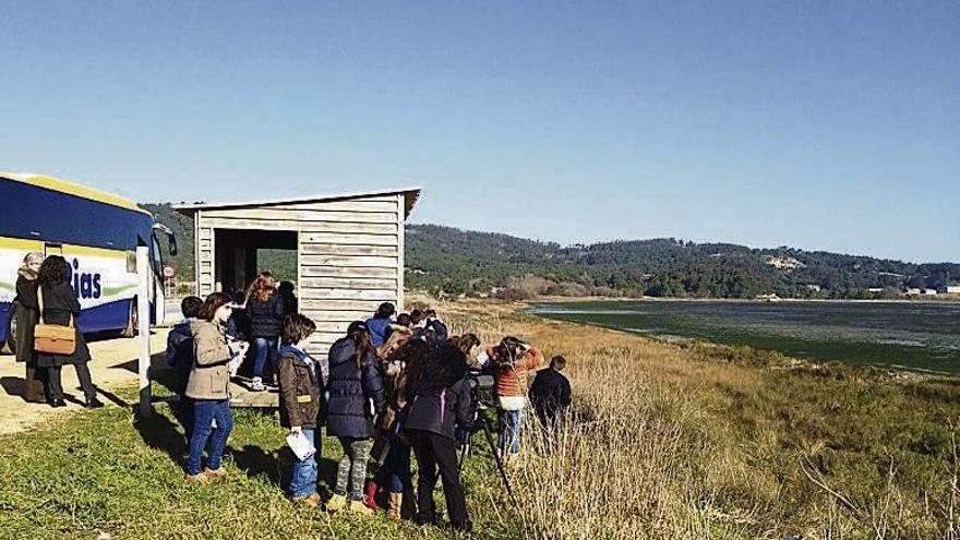 Escolares en una excursión al istmo de A Lanzada. // FdV