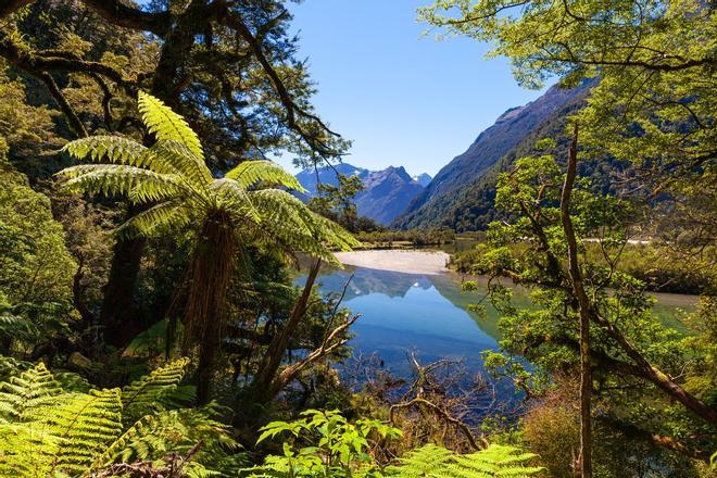 Fiordland National Park, Nueva Zelanda