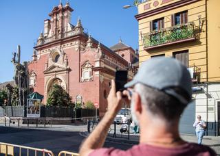 Piden al Ayuntamiento medidas para «mantener vivo» el ficus