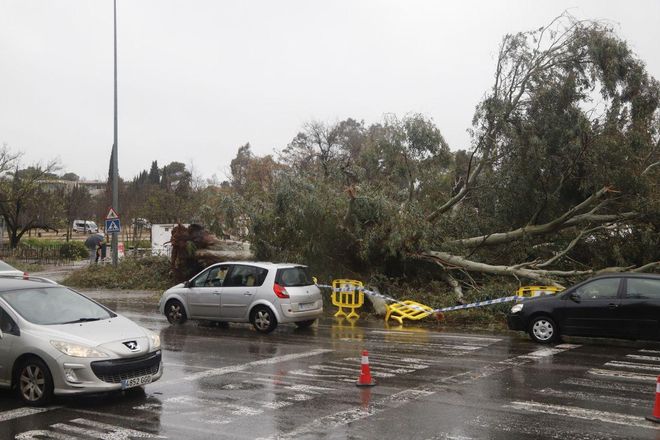 Las imágenes del paso del temporal de lluvia y viento por Córdoba