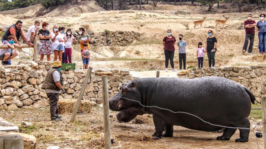 Visitas exclusivas al Safari Aitana para clientes solidarios