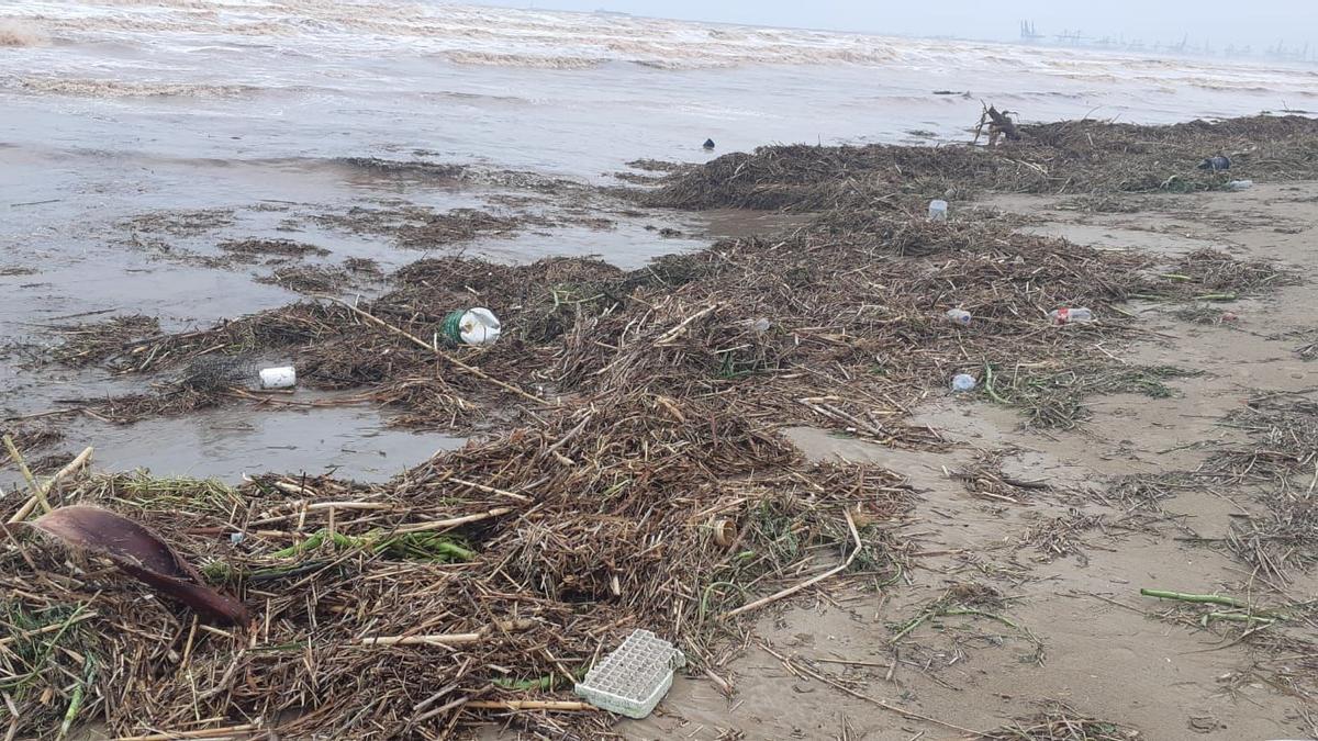 Cañas, botellas de plásticos incluso troncos de árboles en la playa de Port Saplaya.