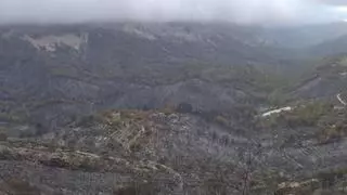 El abandono de casi 174.000 hectáreas agrícolas en la Comunidad Valenciana favorece los megaincendios