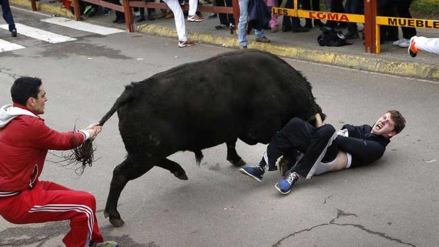 El joven americano, en el suelo mientras es corneado por el toro.