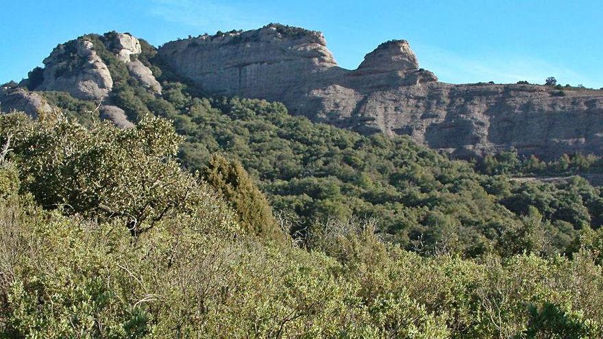 Si prospera la petició, el parc natural de Sant Llorenç del Munt i l&#039;Obac passaria a ocupar 15.000 hectàrees