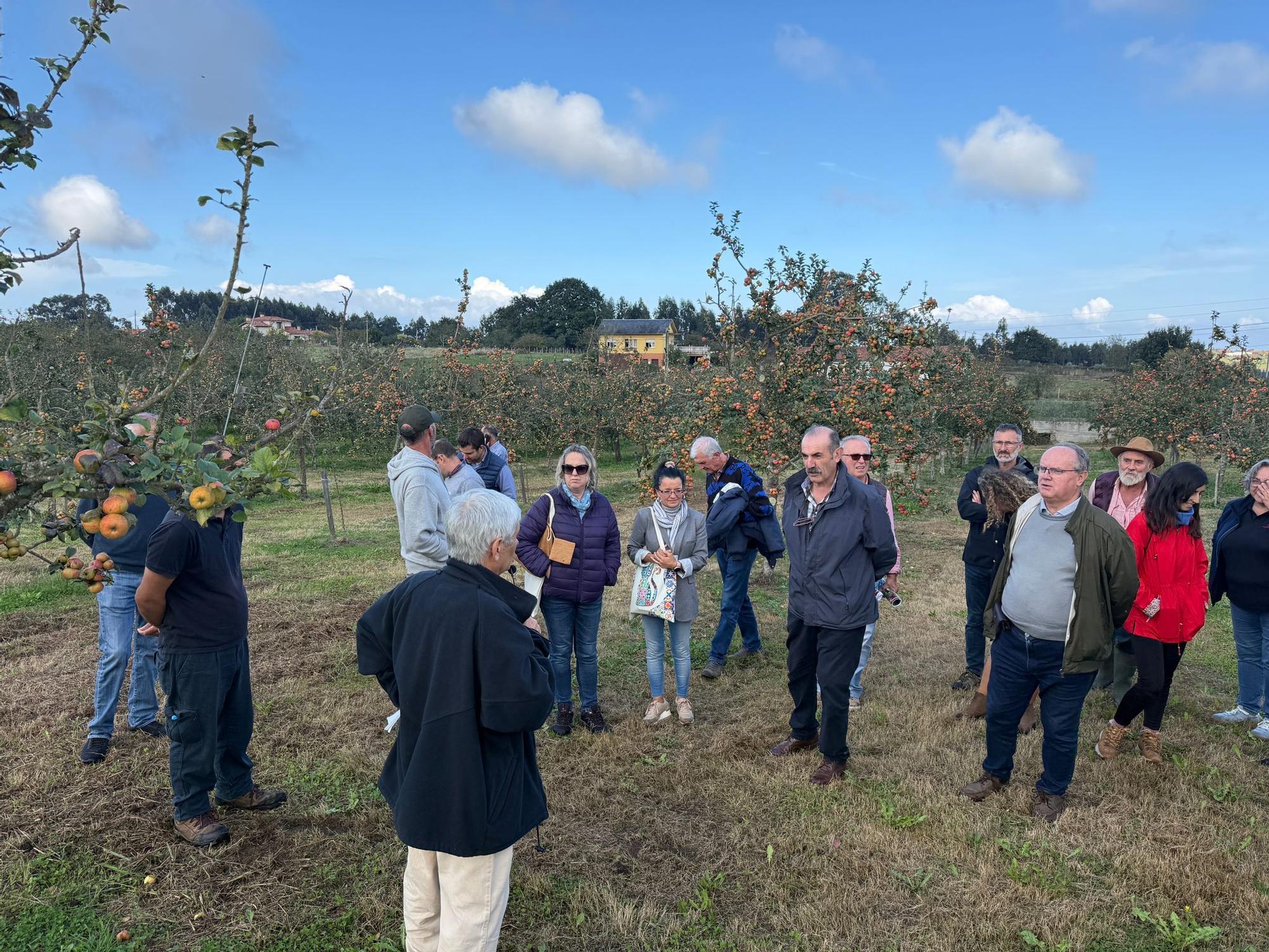 El SERIDA explica sobre el terreno las medidas de protección contra las plagas de roedores en pomaradas