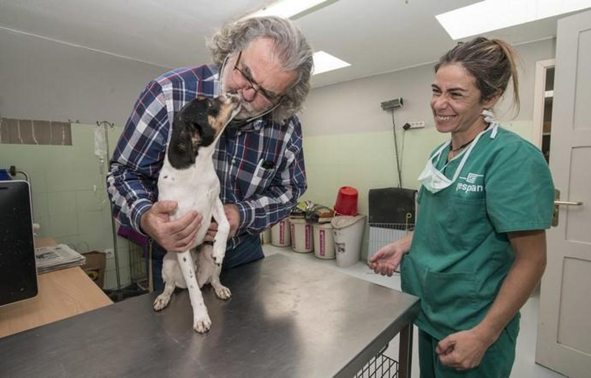 03/01/2019 ARUCAS. Albergue Insular de animales.  FOTO: J. PÉREZ CURBELO