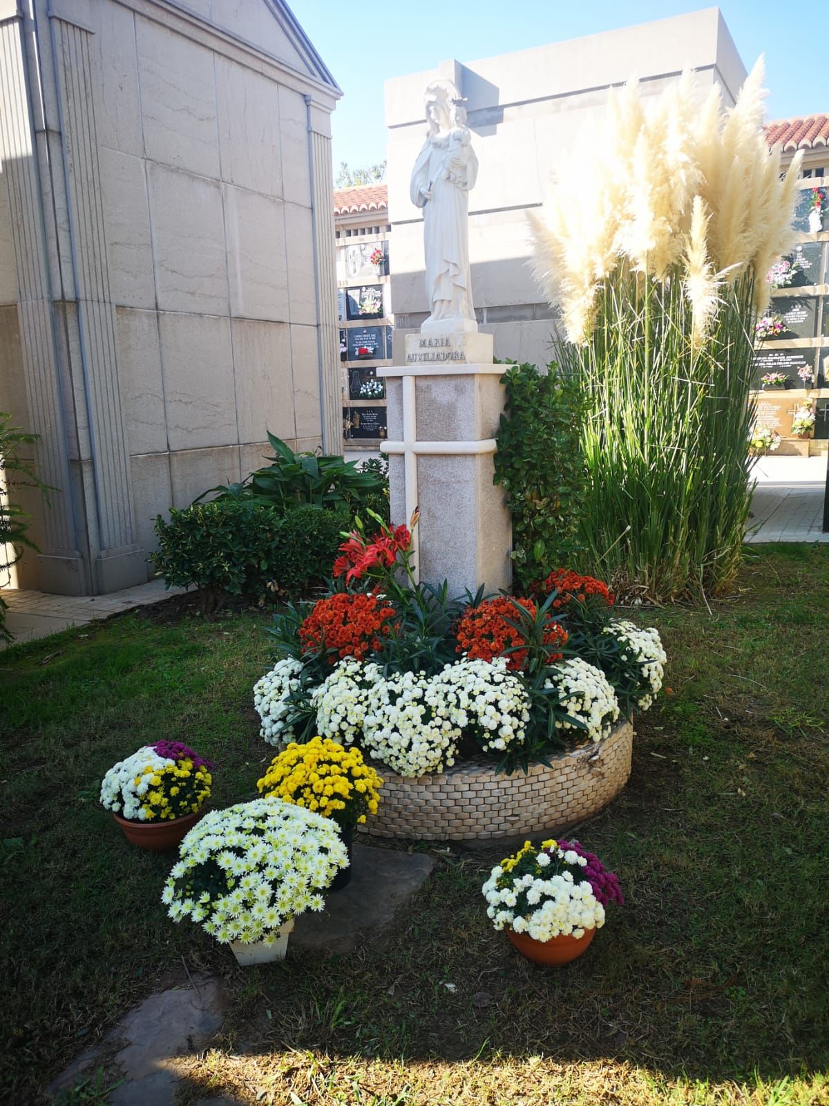 Todos los Santos sin gente en el cementerio de València