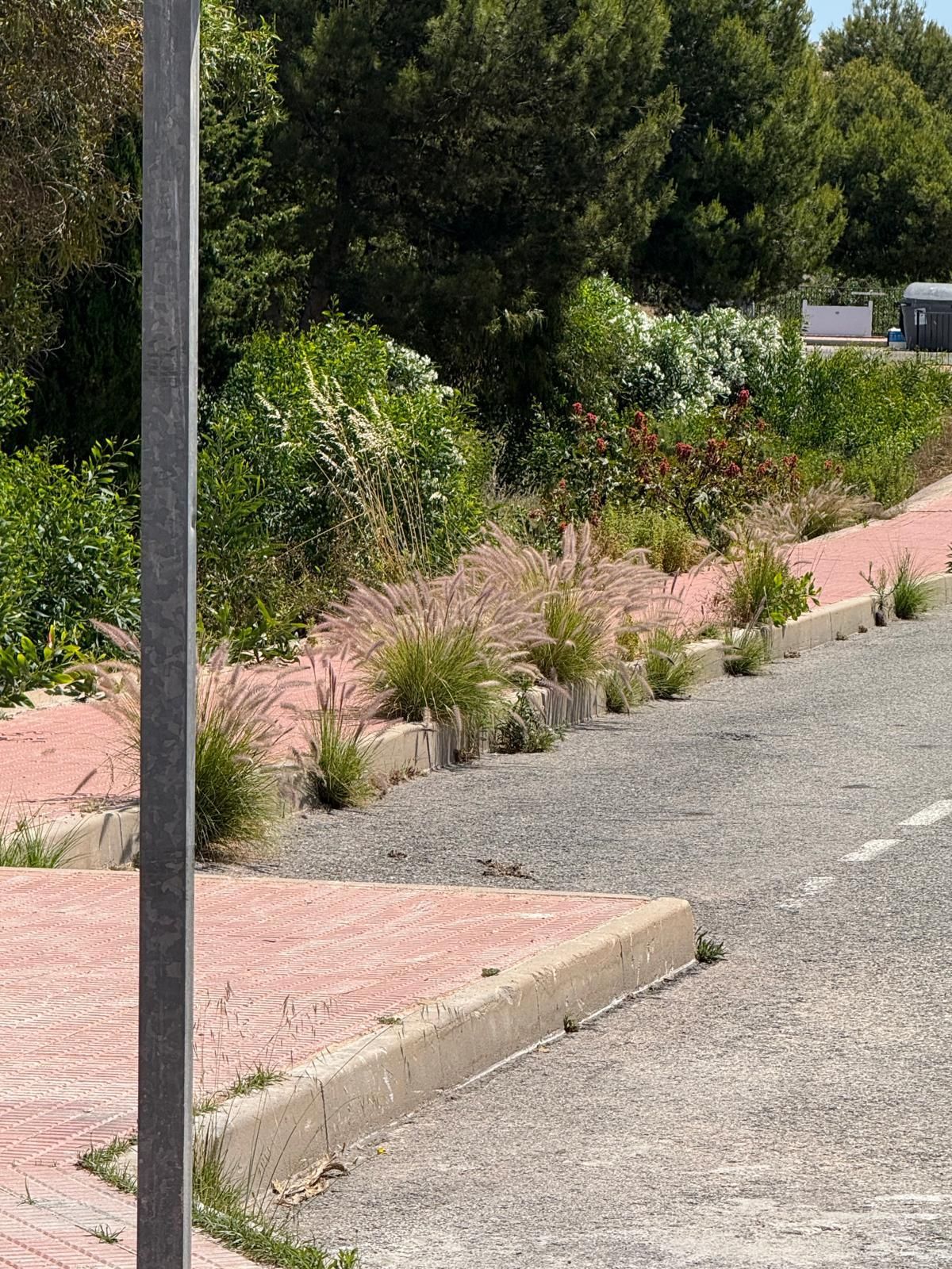 Una jungla sobre el asfalto de Orihuela Costa