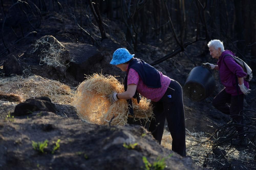 Incendios en Galicia | Paja en Ponte Caldelas