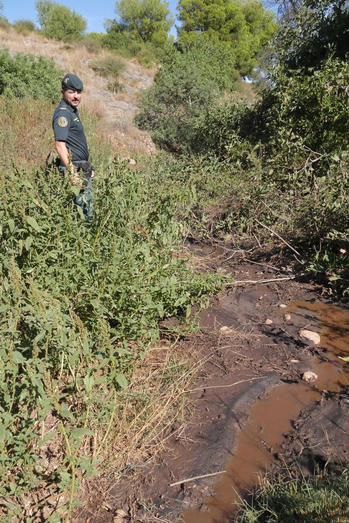 El escenario de uno de los mayores vertidos de purines: un desastre medioambiental