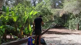 Casa Lola gana tiempo: la Guardia Civil aplaza el desalojo previsto para este martes
