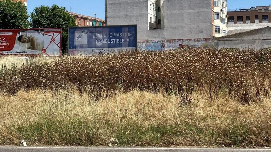 Más de 300 dueños de fincas, a desbrozar: multas de 10.000 euros